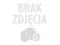 Odzież